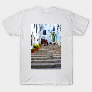 Frigiliana Andalusia Costa del Sol Spain T-Shirt